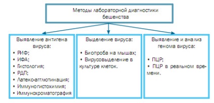 Administrația Veterinară de Stat a Teritoriului Krasnodar, g