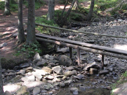 Goverla - Carpați - excursie 2009 la guvern, călătorie în Ucraina, Ukrturizm