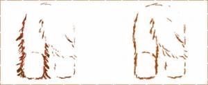 Ápolás Newfoundland Yvonne Salak - Kiállítás - hasznos információk - érdekes Neuf (Salak) Ápolás Newfoundland Yvonne Salak - Kiállítás - hasznos információk - érdekes Neuf