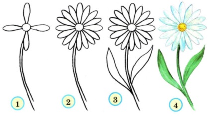 Cum de a desena o floare frumoasă trandafir, lalea și musetel