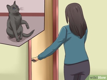 Cum să dezactivați o pisică de obiceiurile proaste