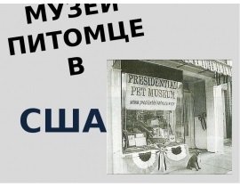 Cum planta hrănește lecția de istorie naturală în clasa a 5-a - prezentare de descărcare