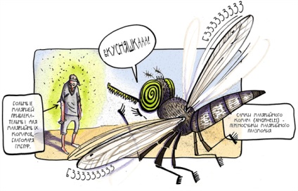 Hogy, mint egy vámpír, vagy a szúnyogok annyira szereti maláriás betegek 1