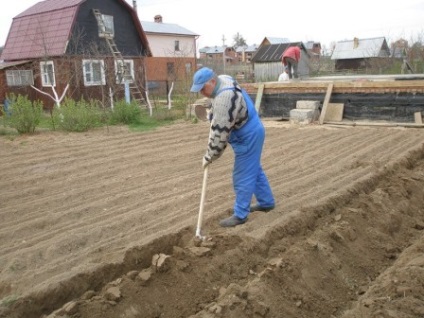 Cum să săpați sfaturi de grădină ale veteranilor