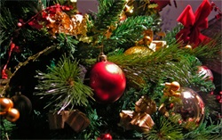 Cum de a alege și de a instala un pom de Crăciun