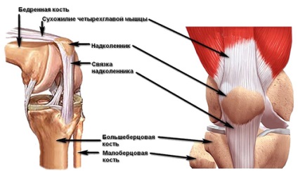 Cum de a consolida ligamentele și tendoanele - m-sala de fitness sala de fitness este cel mai bun scaun balansoar la Kiev! Doar pentru adevărat