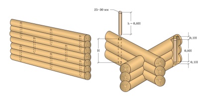 Cum se instalează un nagel de lemn într-un lemn, un copac