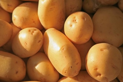 Cum sa alegi cel mai bun soi si sa cresti cartofii devreme