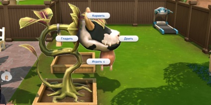 Hogyan hozzunk létre egy emberevő tehén a Sims 4, részletes ajánlásokat