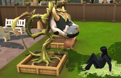 Hogyan hozzunk létre egy emberevő tehén a Sims 4, részletes ajánlásokat