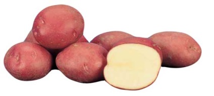 Potato Alladin Descriere varietate, fotografie, recenzii