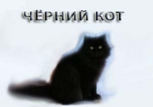 Miért álom egy fekete macska, macska és a cica