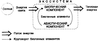 Conceptul de funcționare a ecosistemelor