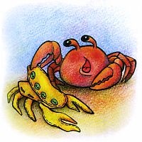 Crabi din Marea Neagra