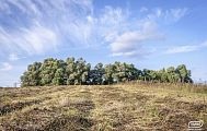 Vásárolni földet szerződés nélkül a Minszk autópálya üdülőfaluban Alexandrovo Park