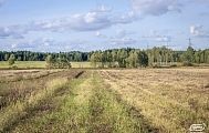 Vásárolni földet szerződés nélkül a Minszk autópálya üdülőfaluban Alexandrovo Park