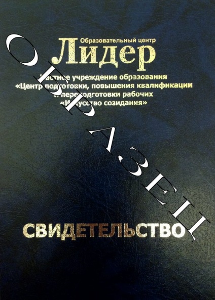 Cursurile de artiști de machiat în Mogilev, cursurile liderului înregistrării pentru cursuri de formare în centrul liderului