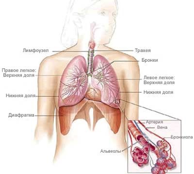 Tratamentul cancerului pulmonar 4 grade