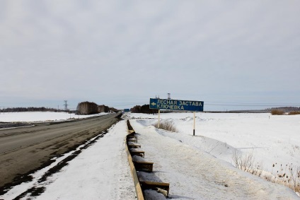 Amenajarea pădurilor (tabăra de sănătate a copiilor din cartierul de pin din regiunea Chelyabinsk)