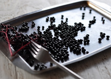 Lichior de rețetă negru chokeberry de lichior de origine rowan