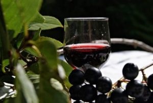 Lichior de chokeberry negru cu frunze de cires la reteta acasa pentru vodca