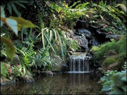 Viețile cascade screensaver natura