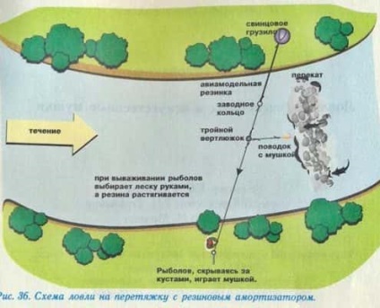 Prindeți aspul împotriva gâtului - secretele pescuitului de succes