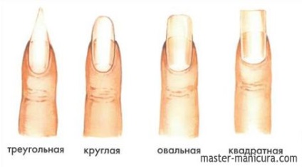 Manicure Secrets - Maestru de manichiură