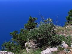 Cape aya - Crimeea, Crimeea - pe hartă