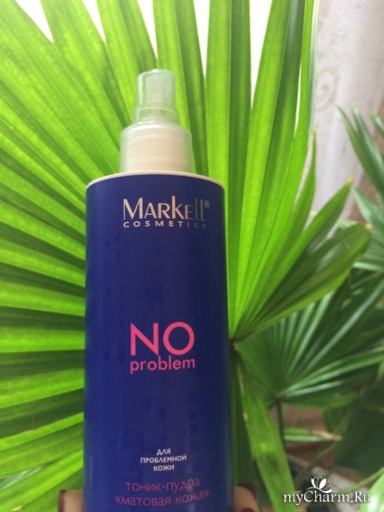 Nu există nici o problemă cu pulberea tonică din cosmetice Markell - nu există nicio problemă tonică de pulbere - piele mată