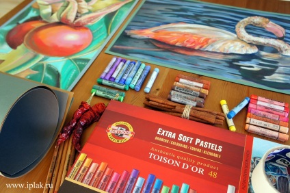 Un curs de instruire în pictura pastel! Pasul cu desen! Am terminat! Blog - blog al artistului plaksina