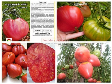 Descrierea soiurilor de tomate cu fotografii