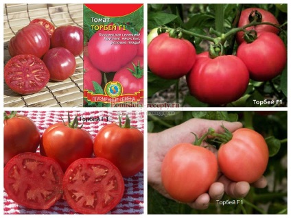 Descrierea soiurilor de tomate cu fotografii