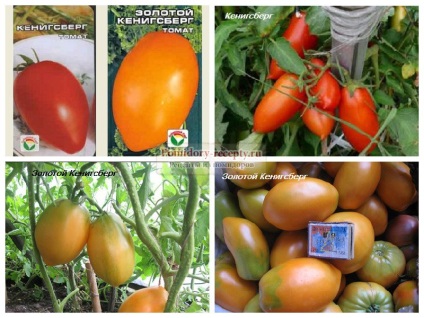 Descrierea soiurilor de tomate cu fotografii