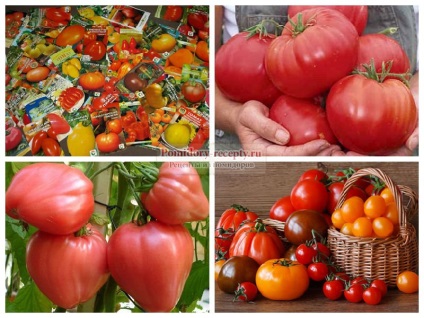 Descrierea soiurilor de tomate cu fotografii