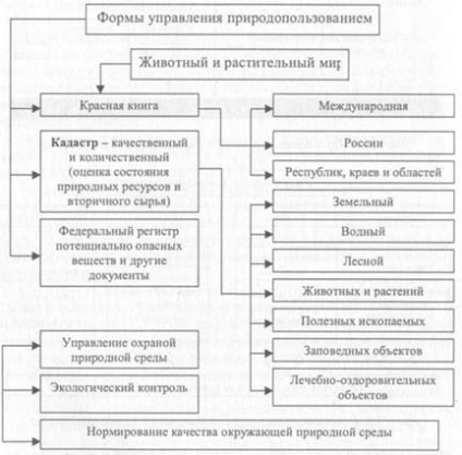 Fundamentele managementului rațional al naturii - stadopedia