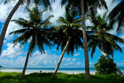 Praslin-sziget - egy ingyenes útmutató az utazók számára