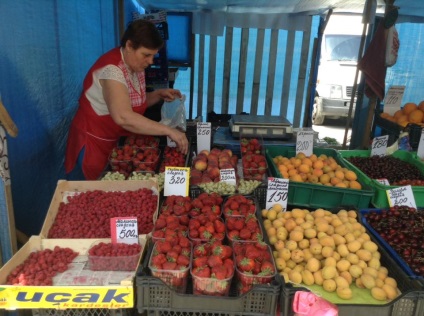 Legume și fructe din sezonul de bumbac din Crimeea (iunie - iulie), Navigatorul turistic din Crimeea