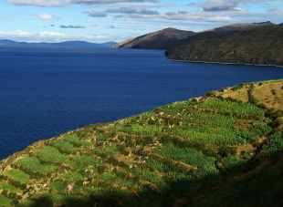 Titicaca-tó Peru és Bolívia - néz online videókat és fotókat, olvasása (Titicaca) Titicaca-tó Peru és Bolívia - néz online videókat és fotókat, olvassa utazók véleménye