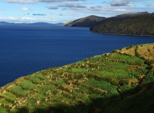 Lacul Titicaca din Peru și Bolivia - vizionați videoclipuri și fotografii online, citiți recenzii ale turiștilor