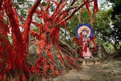 Parcul cerb sa întors în cap - călătorește numai în Hainan!