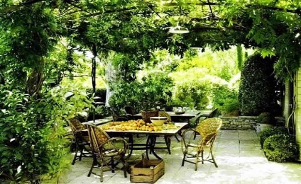 Pergola за грозде и рози с ръцете си, както и други растения