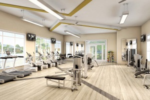 Care sunt criteriile pentru alegerea celui mai bun club de fitness, fitness?