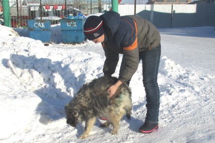 Shelter - egy - köszönöm származó sérülések és Vega-szilva