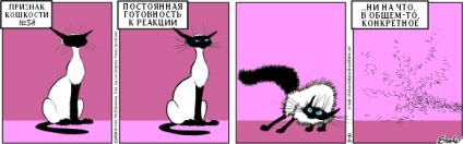 Semnele pisicilor de 20 de ani, cea mai tare film de benzi desenate despre sigilii