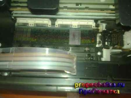 Curățarea capului de imprimare Epson
