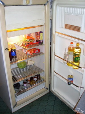 Repararea frigiderului cu amoniac