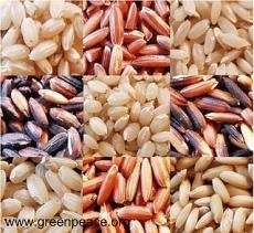 Rice - jelképe a jólét és a jólét (egészséges és klinikai táplálás)