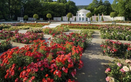Un rozariu în Baden în parc Dobelhof - fotografie, recenzii, ore de lucru, cum să ajungi