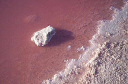 Pink lac hillier, Australia - portal turistic - lumea este frumoasa!